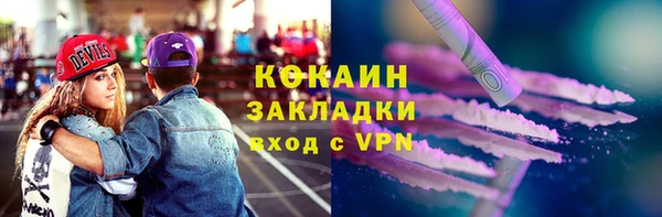 индика Абаза