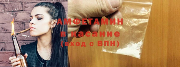 индика Абаза