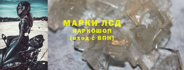 индика Абаза