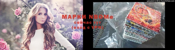 индика Абаза