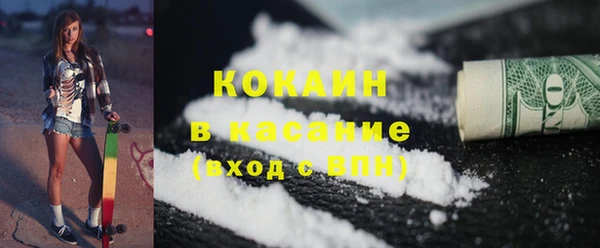 индика Абаза