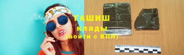 индика Абаза
