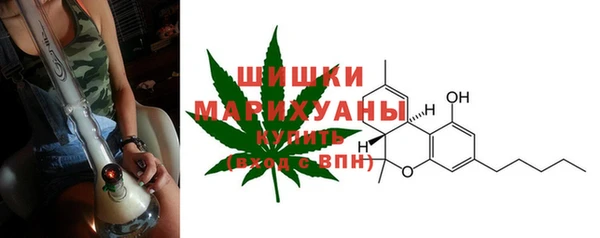 индика Абаза