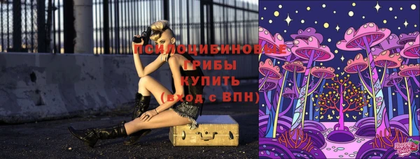 индика Абаза
