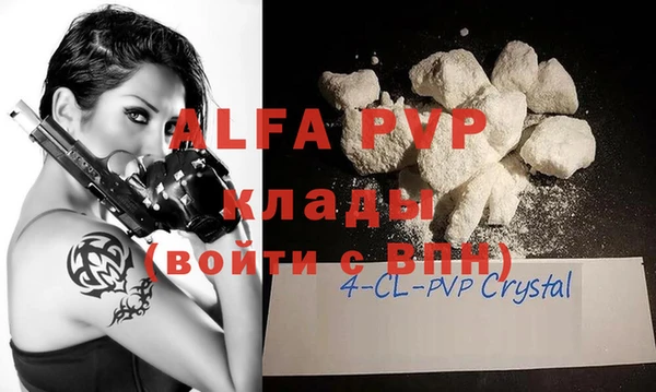 индика Абаза
