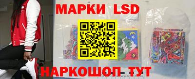 амф Новозыбков