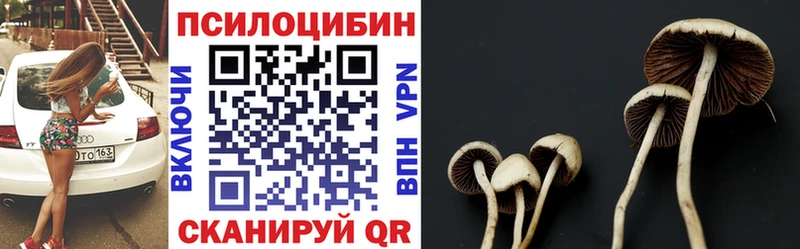 продажа наркотиков  Красный Сулин  Псилоцибиновые грибы MAGIC MUSHROOMS 